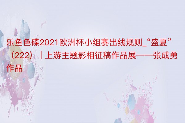 乐鱼色碟2021欧洲杯小组赛出线规则_“盛夏”（222） | 上游主题影相征稿作品展——张成勇作品