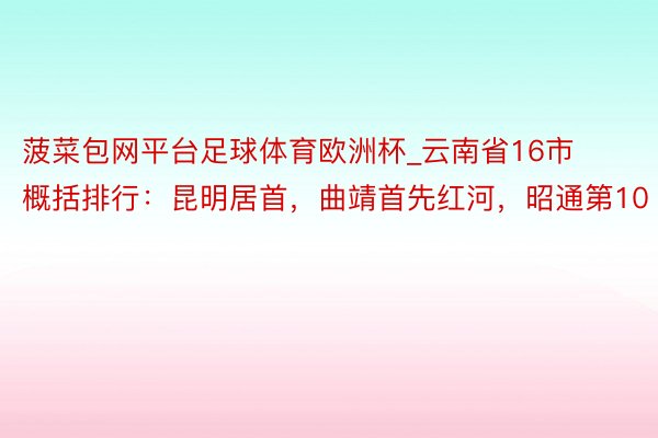 菠菜包网平台足球体育欧洲杯_云南省16市概括排行：昆明居首，